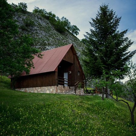 Hotel Detached House Milivoje Poscenje Esterno foto
