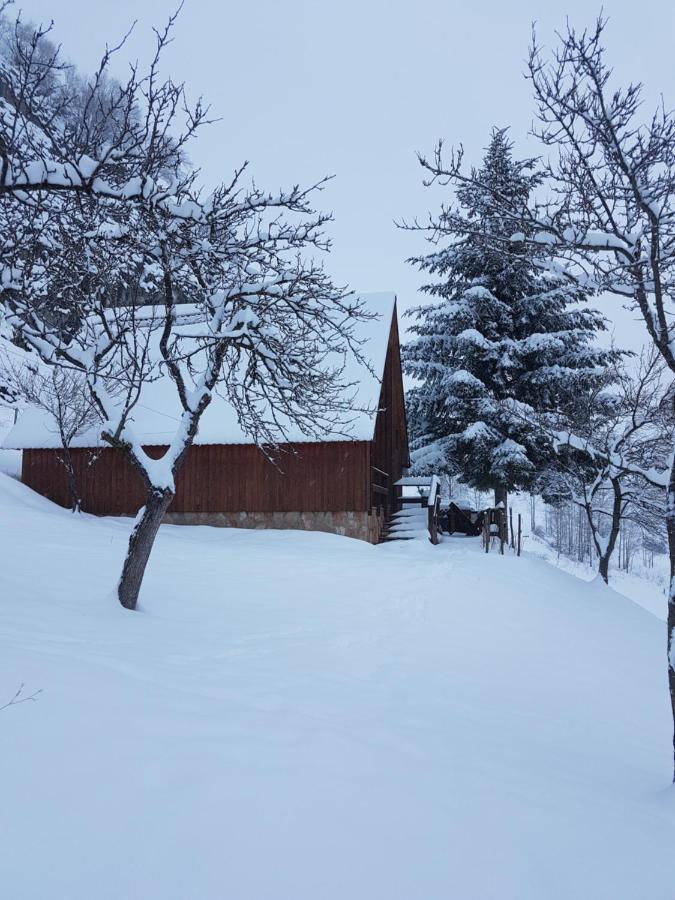 Hotel Detached House Milivoje Poscenje Esterno foto